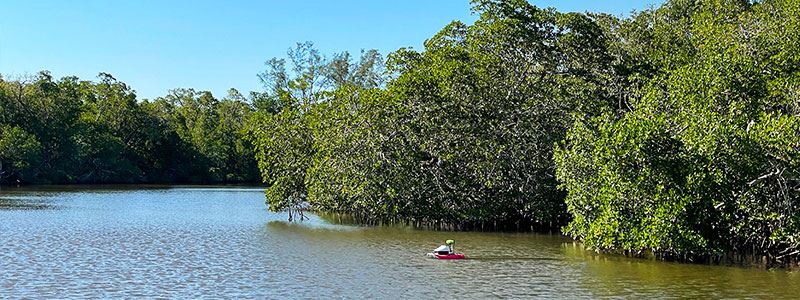 Acoustic Doppler Current Profiling System In River In Naples Florida